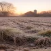 Frost-covered farmland in winter showing soil, roots, and quiet resilience beneath the surface