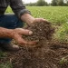 Farmer holding healthy soil in a field illustrating depleted soil and nutrient density