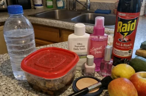 Kitchen countertop covered with plastic food containers, bottled water, personal care products, fast food packaging, and cookware representing everyday endocrine disruptors in daily life