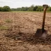 Barren farm field with compacted soil and a shovel standing in the ground, showing depleted soil before regeneration