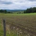 young crops growing in farm field with healthy soil and rural landscape in background