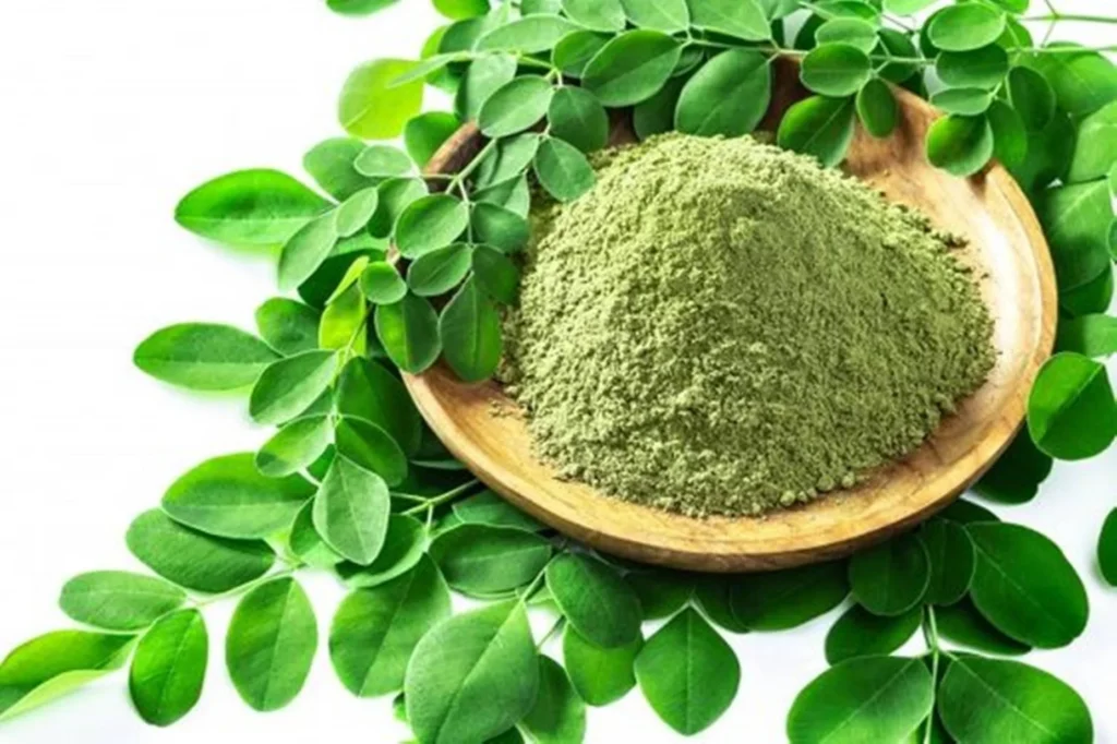 Moringa Oleifera: Why the Miracle Tree Matters