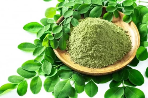 Moringa oleifera powder in a wooden bowl surrounded by fresh moringa leaves