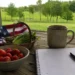A casual porch table with fresh strawberries, greens, a notebook, coffee mug, and a folded American flag overlooking green countryside.