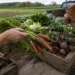 A customer chooses freshly harvested carrots directly from a farmer beside crates of vegetables.