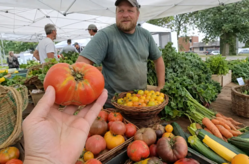 Shopper examining an imperfect heirloom tomato while talking with a farmer at a local farmers market