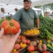 Shopper examining an imperfect heirloom tomato while talking with a farmer at a local farmers market