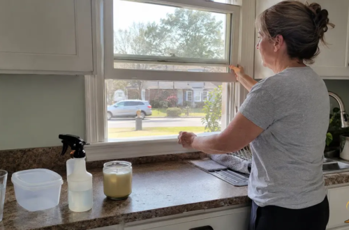 Woman opening her kitchen window near common household products that can contribute to everyday toxin exposure.